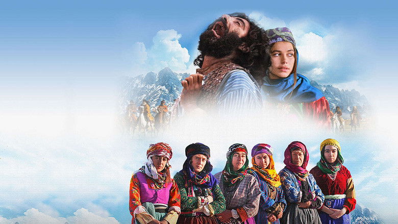 Backdrop de Mucize Koleksiyonu