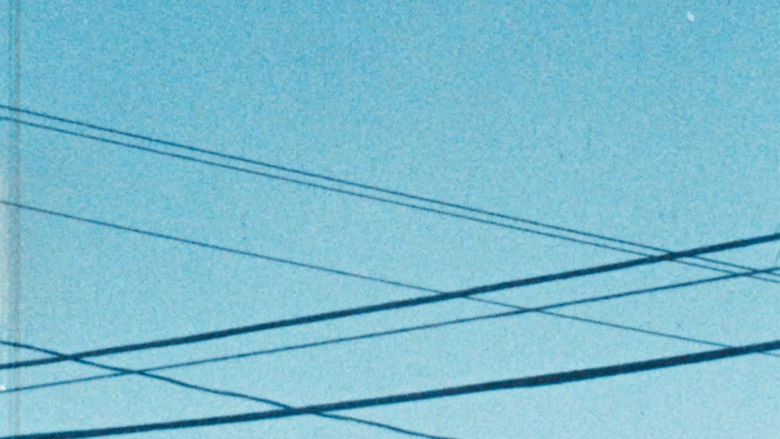 Gallery image from 6DC0Kqmq0H6nXmi3s46OuvdwPl0.jpg