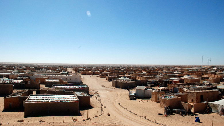 Image d'arrière-plan 1 du film Wilaya