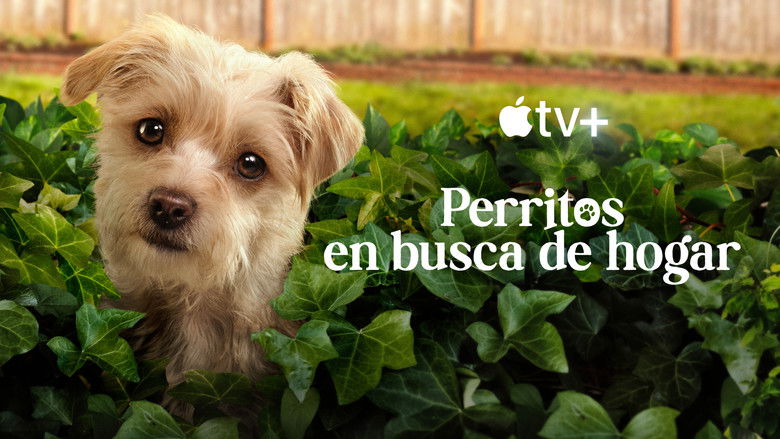 Gallery image from 6Dh7w4ijPuJupEXnrnagBP1c8yY.jpg