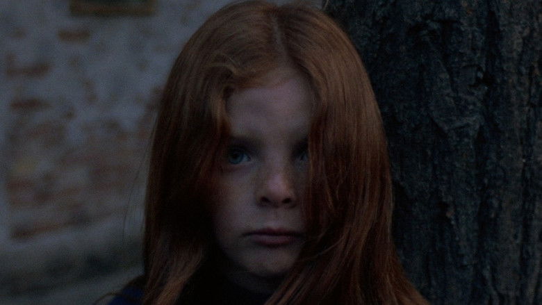 Imatge de Qui l’ha vista morir?