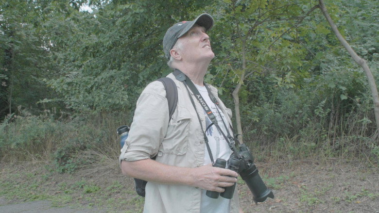 How To with John Wilson S03E05 — How To Watch Birds episode still