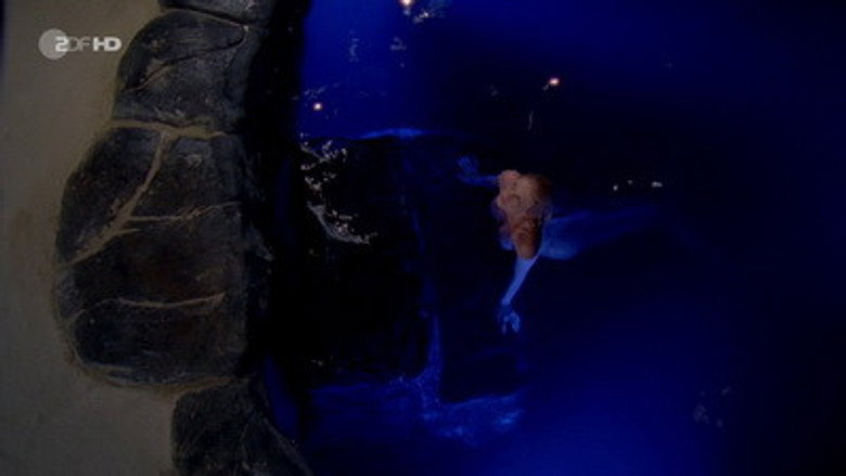 Still from H2O: Just Add Water - Season 3 Episode 16