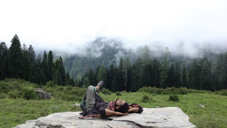 Imatge de The Nomad’s Land - Van Gujjars