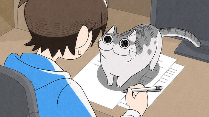 Still image for Nights with a Cat season 1 episode 12: Night 12: Attention-Seeking Cat