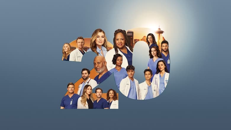 Grey's Anatomy Season 9 Episode 11 : The End is the Beginning is the End
