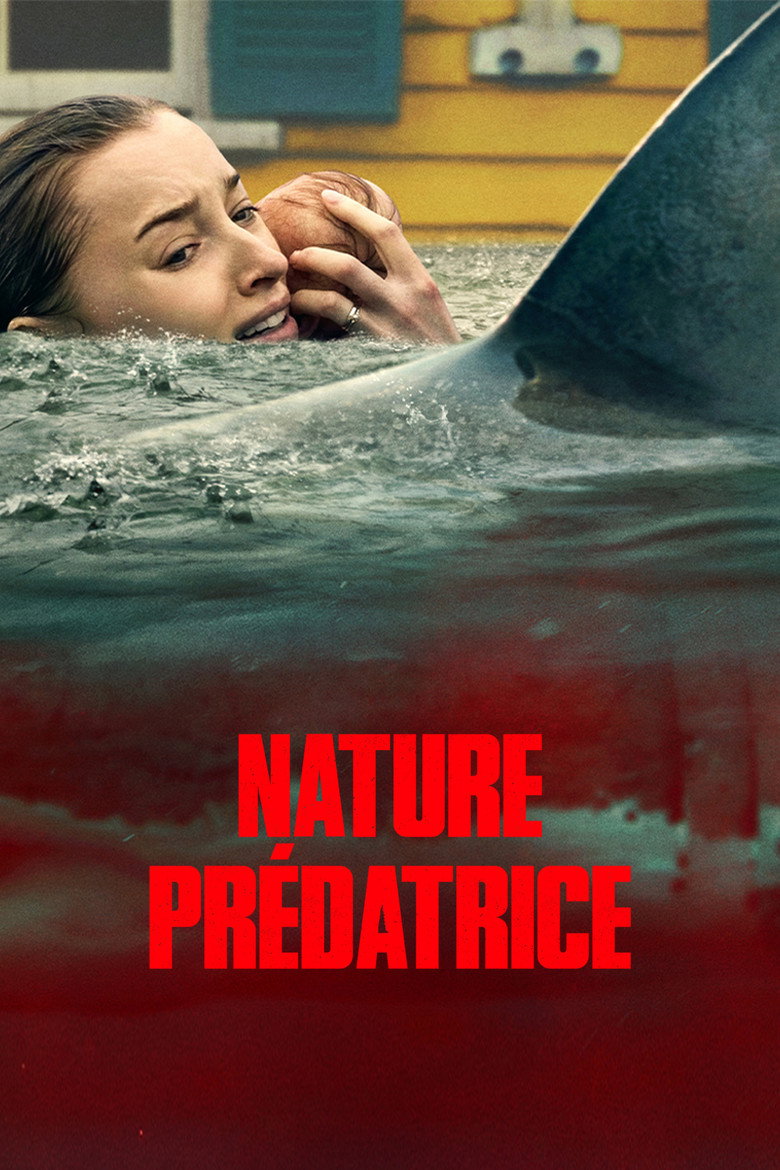 Póster la Película