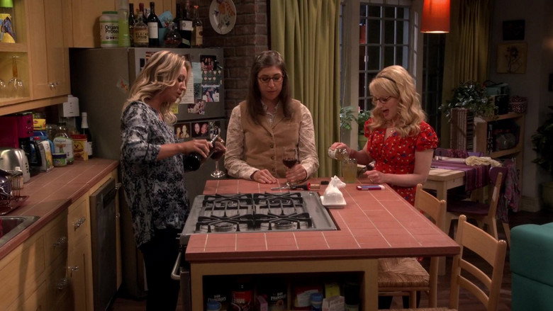 Big Bang Theory Season 2 Episode 10