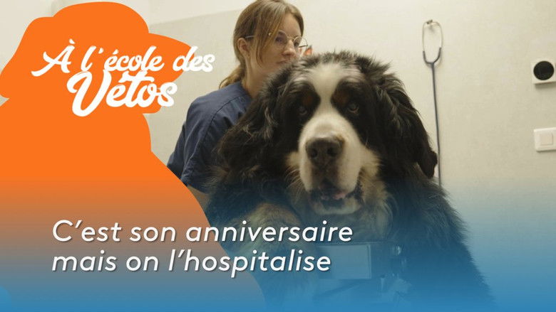 Still image for A l'école des vétos season 1 episode 4: Episode 4