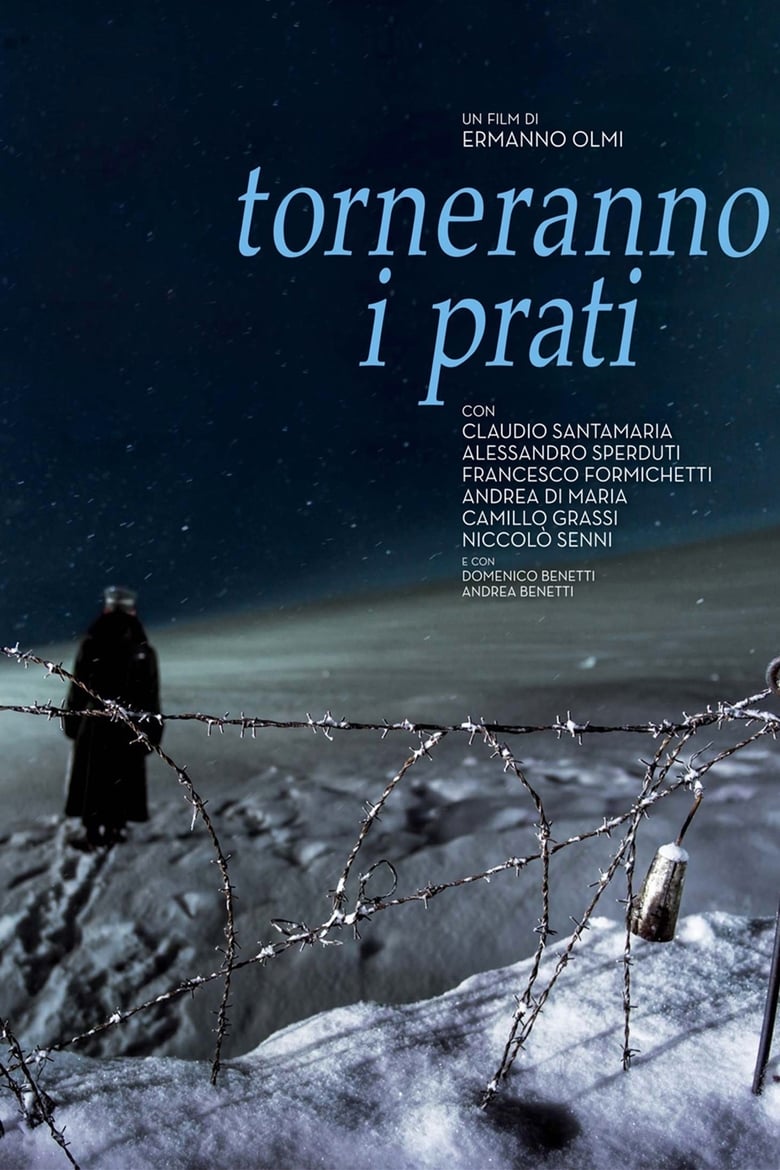 Torneranno i prati (2014)