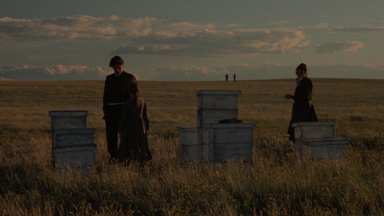 Image d'arrière-plan 4 du film Les Moissons du ciel