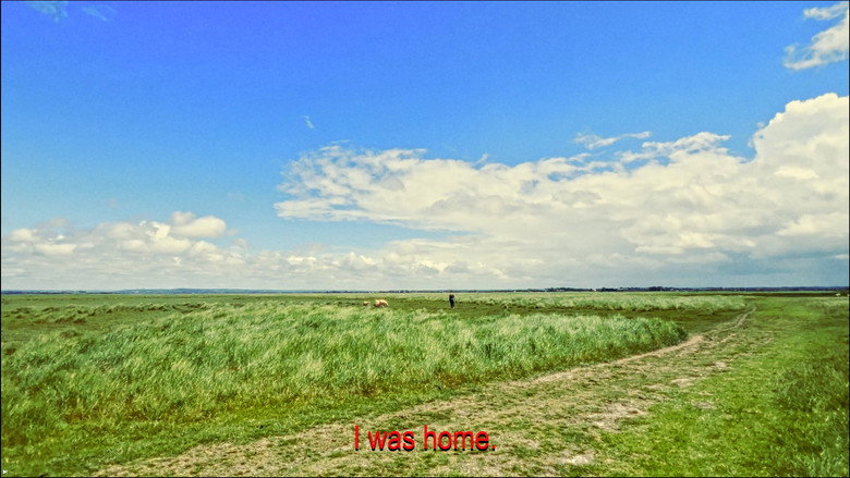 Imatge de Loneliness and the Sheep