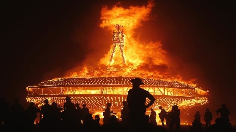 You Can't Unburn the Fire: The Burning Man Documentary movie poster