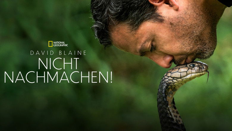 Gallery image from 6Il926FZhriEKAS8z0fKFPAbp0J.jpg