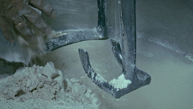 The Mechanics of Film Photo 7