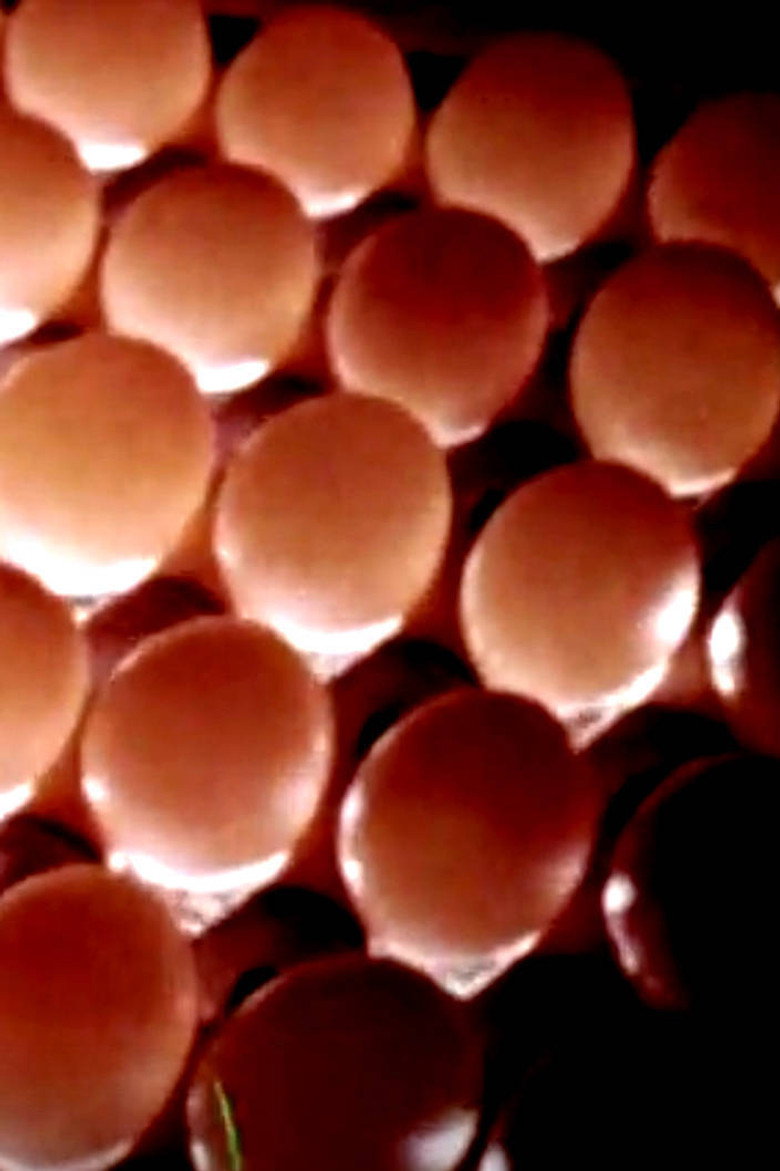 Eggs To Market background