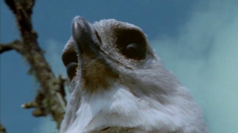 Still image for Monsters We Met season 1 episode 3: The End of Eden