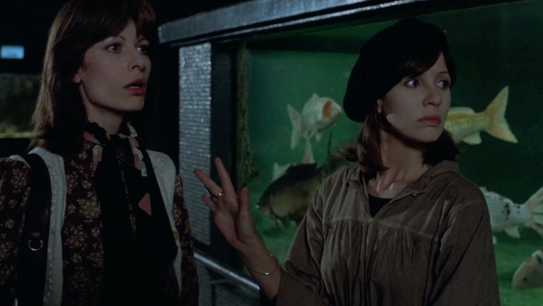 Gallery image from 6K0EkQxOdy7i50XMjVEcCOwtE0k.jpg