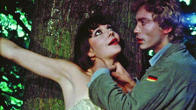 Imatge de Goldflocken