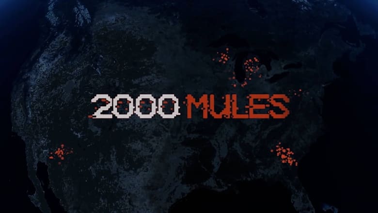 2000 Mules