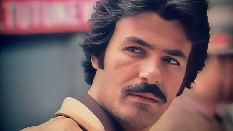 Gallery image from 6Kod3rHtEHIbr4tvjcnuaxsjVm7.jpg