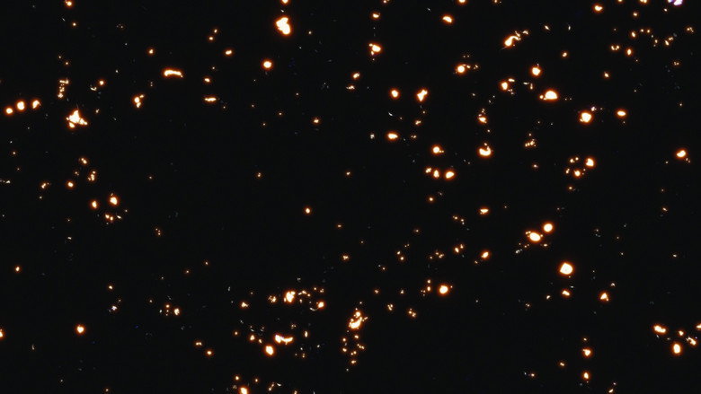 Gallery image from 6KpX0dvTrmgLifln4H5e5XiSDFP.jpg