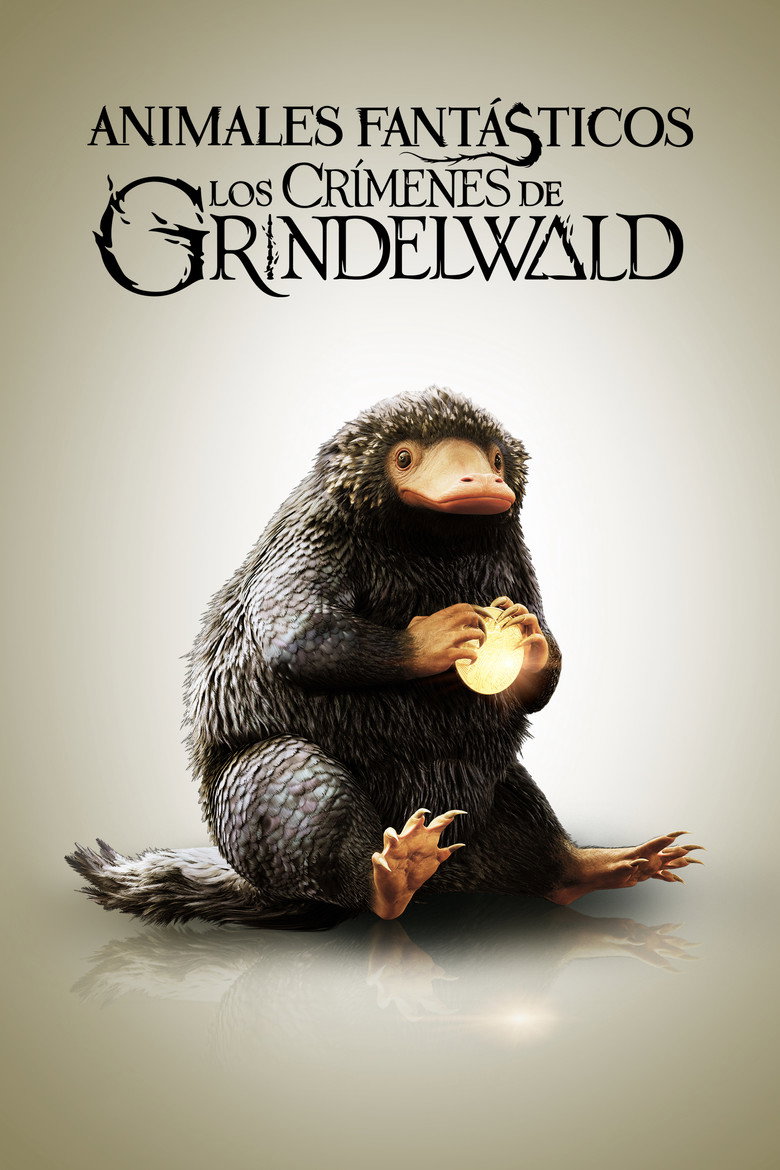 Póster la Película