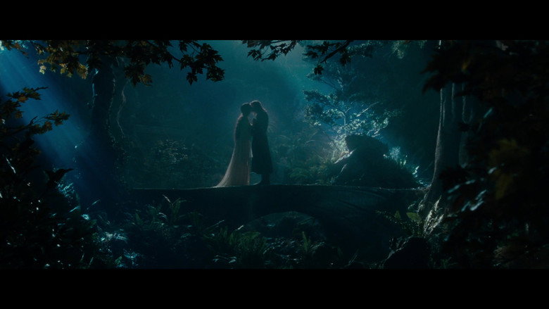 The Lord of the Rings: The Fellowship of the Ring backdrop 123