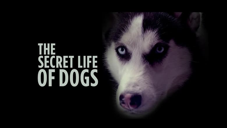The+Secret+Life+of+Dogs