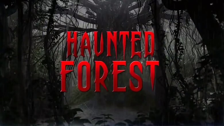 Regarder Haunted Forest complet