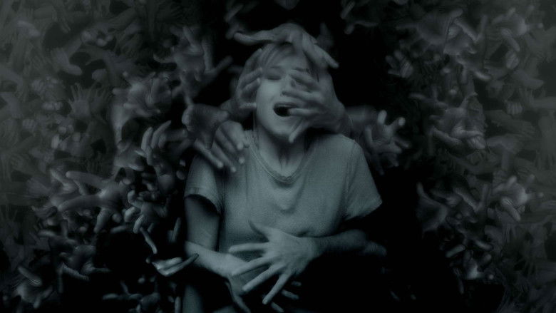 Backdrop de Pulse Collection