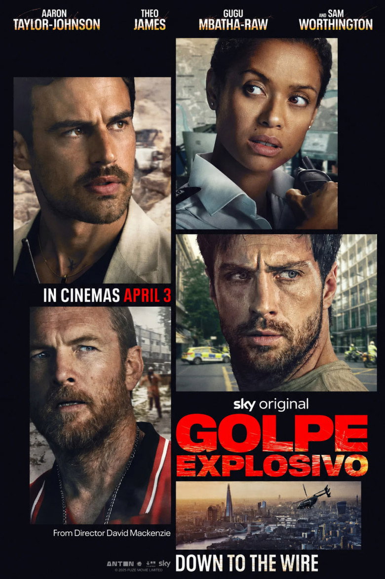 Póster la Película