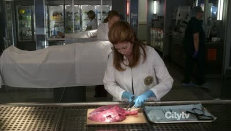 body of proof tv series season 2 body of proof tv series season 2