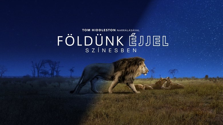 Gallery image from 6OcnA0v54yaTtJLMymA0qOuuInh.jpg