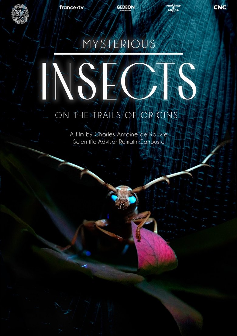 Mysterious Origins of Insects (2022)