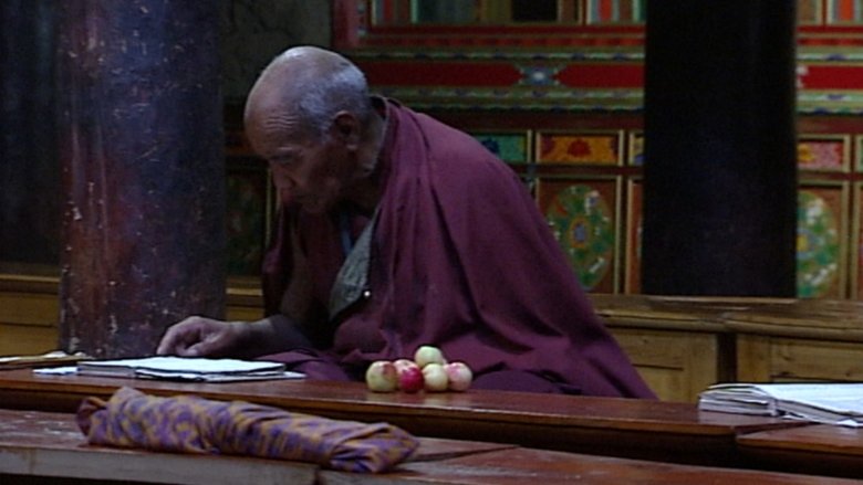 Gallery image from 6OnwUiaEMHVzlLxWduPPWqRhd89.jpg