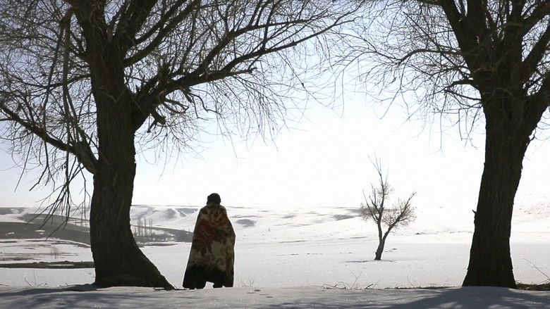 Gallery image from 6PNlCBrorZ7W4fQ4WXCS4duUb1V.jpg