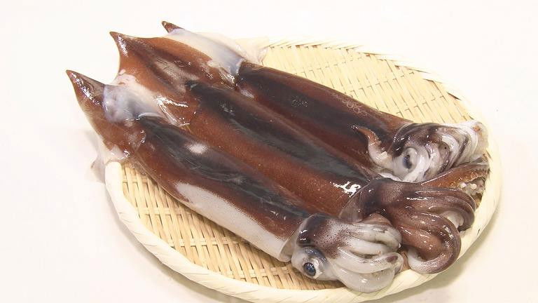 Still image for Trails to Tsukiji season 1 episode 9: Ika Still image for Trails to Tsukiji season 1 episode 9: Ika