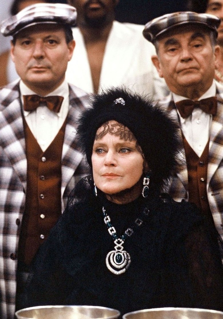 Der Besuch der alten Dame main poster