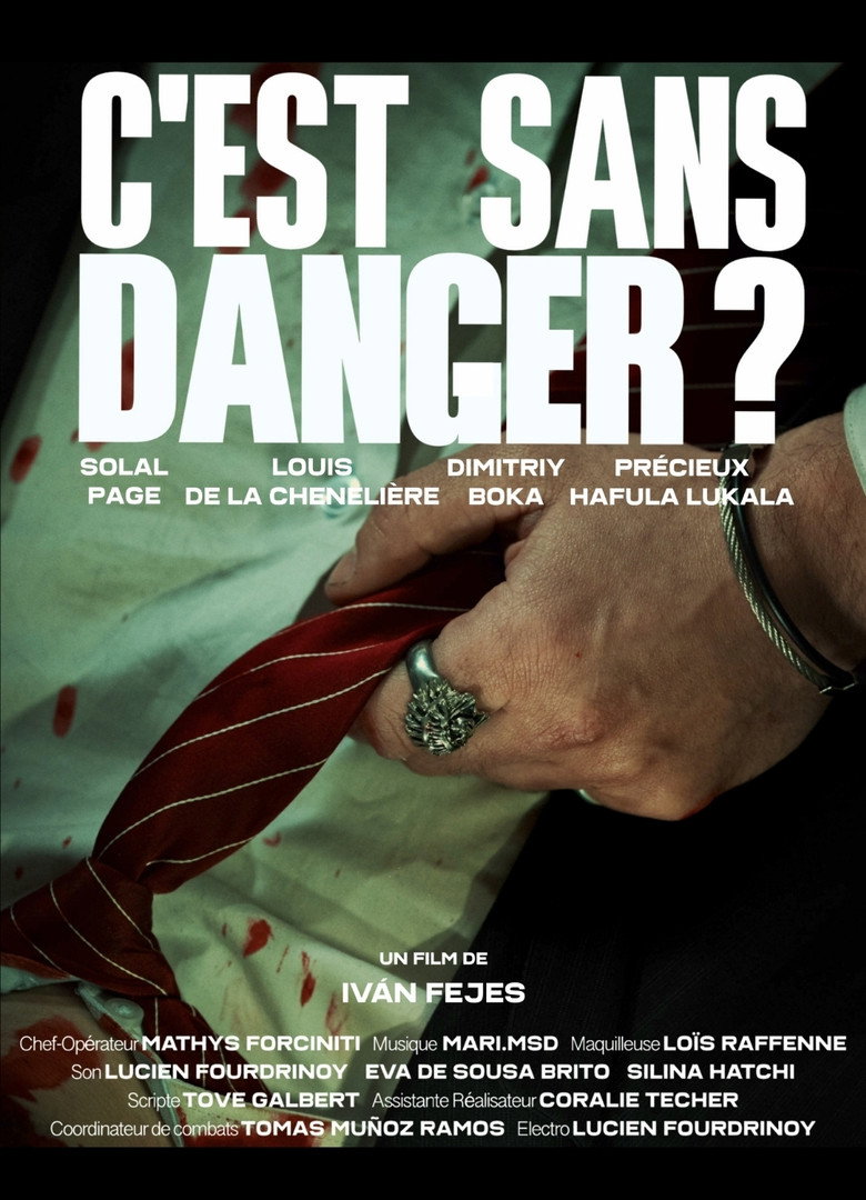 Imatge de C'est sans danger ?