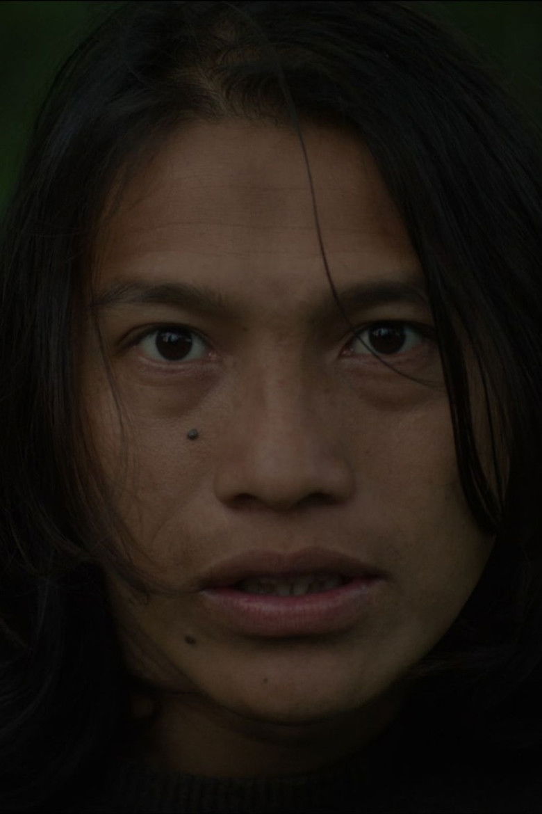 Imatge de A Transformação de Canuto