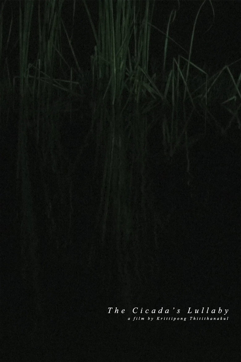 The Cicada's Lullaby