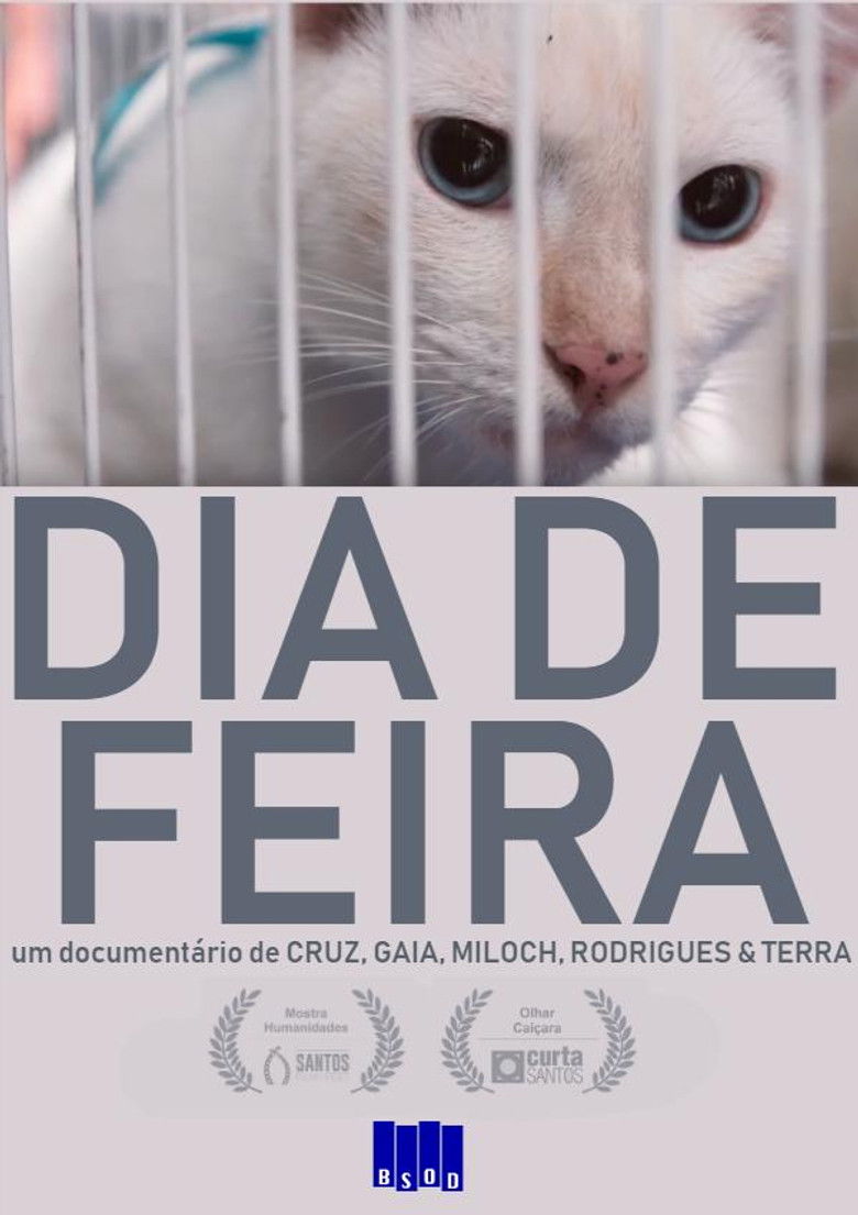 Imatge de Dia de Feira