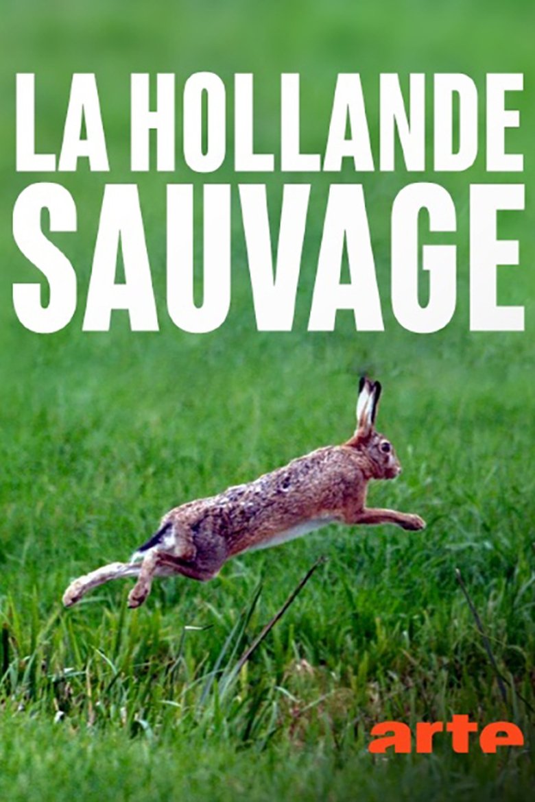 La Hollande sauvage - La faune des polders main poster