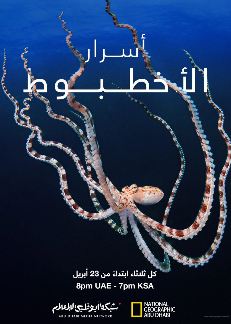 أسرار الأخطبوط
