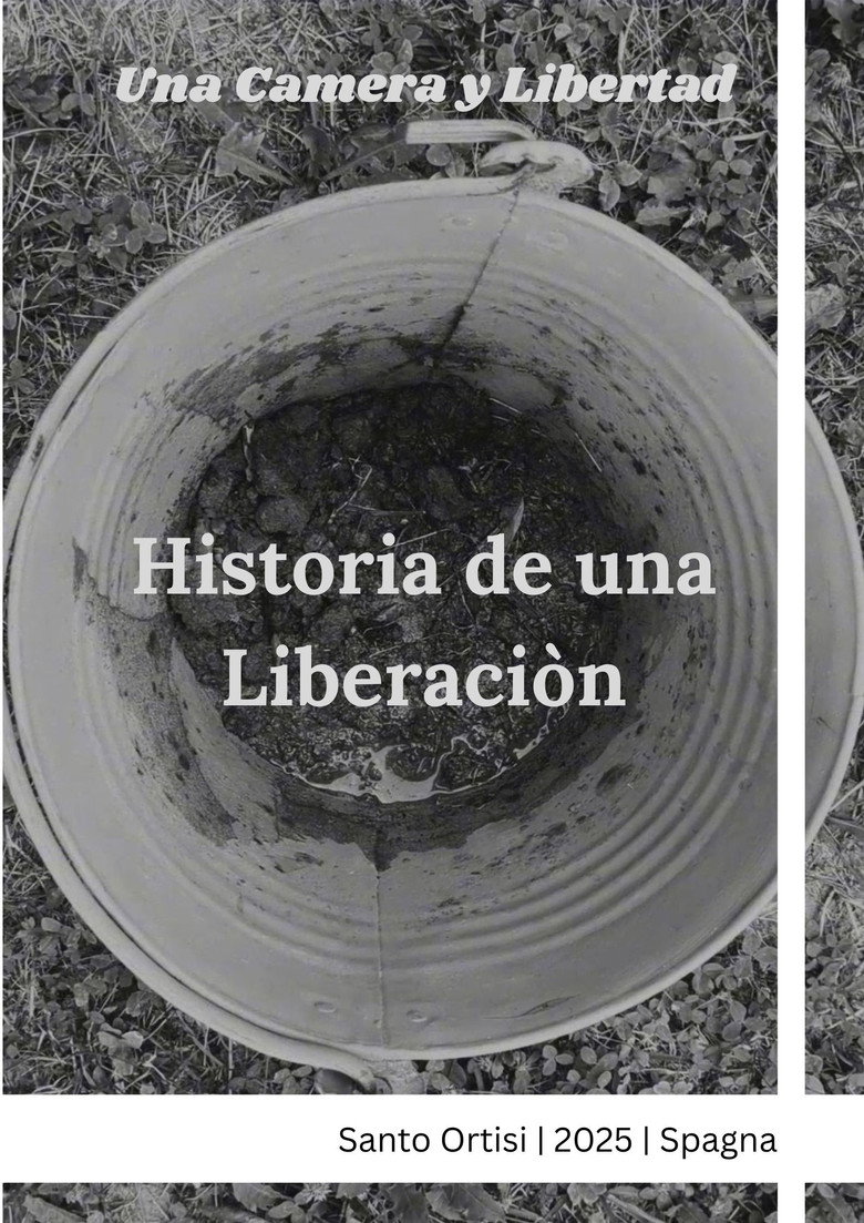 Historia de una liberaciòn