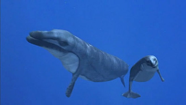 Still from Walking with Beasts - Season 1 Episode 2