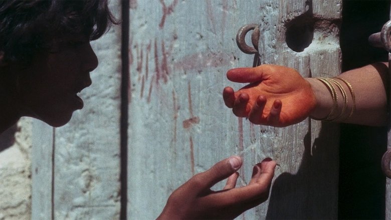 Gallery image from 6Szw2N89sn2UWqOpEwPj7Yc2Z99.jpg