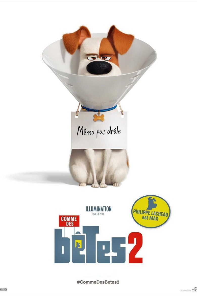 Póster la Película