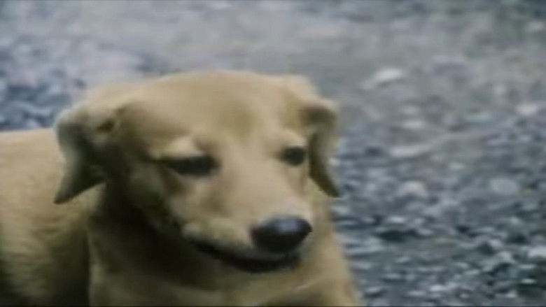 Gallery image from 6TQwwBbBQqESjWl3z7iPkTpQGAS.jpg